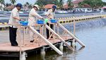 Prabowo Kunjungi Tambak Ikan Nila di Karawang, buat Pasok Makan Bergizi Gratis