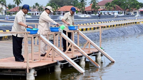 Prabowo Kunjungi Tambak Ikan Nila di Karawang, buat Pasok Makan Bergizi Gratis