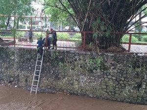 Cerita Sang Pemadam Api di Bandung Selamatkan Kucing yang Jatuh ke Sungai