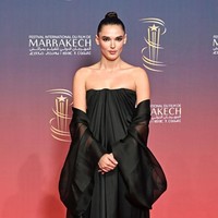 Valeria Nicov, yang berasal dari Eropa Timur, mulai dikenal sebagai model internasional sebelum merambah dunia akting. Kehadirannya di sisi Penn tidak hanya menambah pesonanya di dunia hiburan tetapi juga menunjukkan sisi kehidupan pribadi Penn yang selama ini cukup tertutup. (Foto: Stephane Cardinale/Corbis via Getty Images)