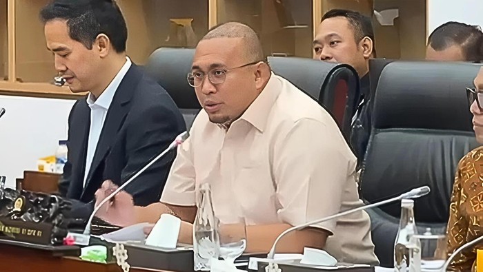 Andre Rosiade saat rapat dengar pendapat dengan PT PLN (Persero), Selasa (3/12/2024). (Istimewa)