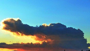 Bentuk kepala buaya... Foto: Boredpanda