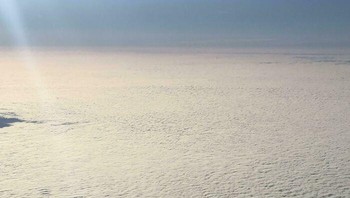 Awan unta. Foto: Boredpanda