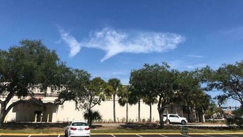 Awan berbentuk hiu. Foto: Boredpanda