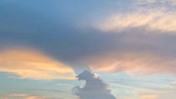 Bentuk Godzilla. Foto: Boredpanda