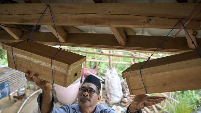 Peternak lebah memperlihatkan kotak sarang lebah madu trigona di Dusun Ebunut relokasi Ngolang, Desa Kuta, Mandalika, Praya, Lombok Tengah, NTB, Selasa (3/12/2024). Usaha budi daya lebah madu trigona yang didukung oleh ITDC tersebut mampu menghasilkan madu setiap dua bulan sekali dengan harga jual mencapai Rp300 ribu per botol ukuran 600 ml untuk memenuhi kebutuhan konsumen di wilayah Mataram dan Praya. ANTARA FOTO/Ahmad Subaidi/nym.