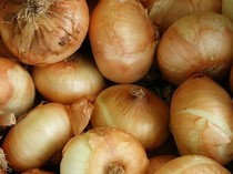 Video: Ternyata Bawang Bombay Bagus Lho untuk MPASI!