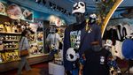 Gemasnya Panda Raksasa Tampil Perdana di Ocean Park Hong Kong