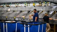 Tempat ini mempekerjakan lebih dari 200 pekerja untuk menyortir, mengemas, dan mengirimkan barang ke seluruh Florida Tengah. 
