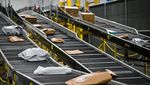 Melihat Kesibukan Gudang Amazon di Orlando