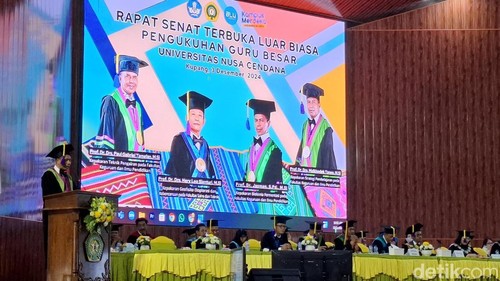Pengukuhan empat guru besar di Auditorium Undana Kupang, NTT, Selasa (3/12/2024). (Yufengki Bria/detikBali).