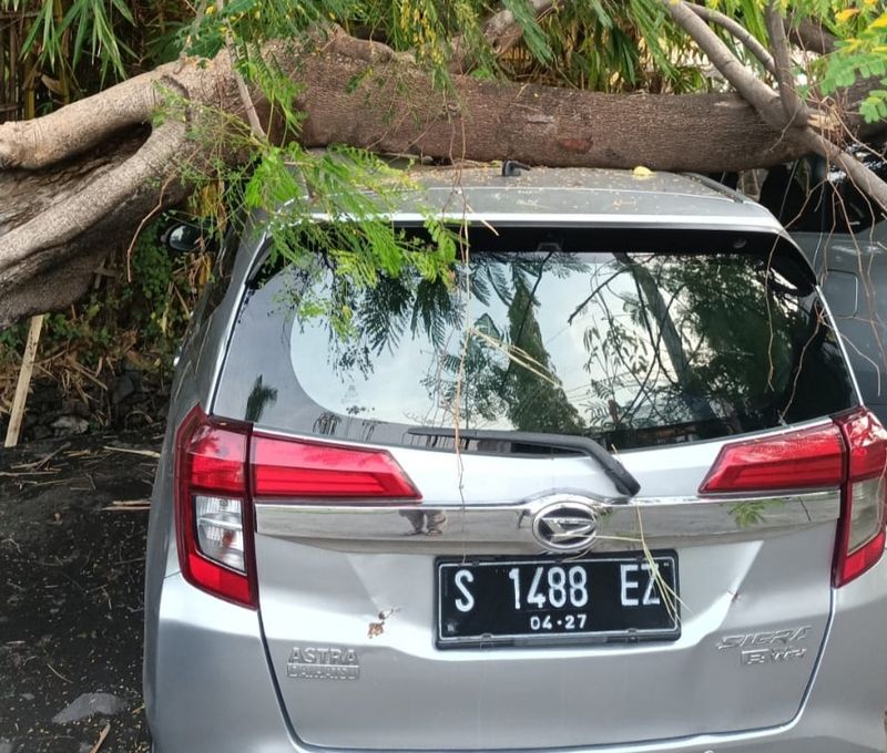 pohon tumbang di sidoarjo timpa 2 mobil
