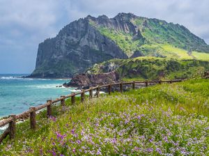 Warga Jeju Mulai Kesal dengan Turis yang Berkemah