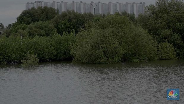 Suasana kawasan pengembangan wilayah berbasis hijau atau yang dinamakan Tropical Coastland di Tangerang, Banten, Selasa (3/12/2024). (CNBC Indonesia/Muhammad Sabki)