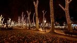 Temaram Cahaya Natal Hiasi Taman di Spanyol