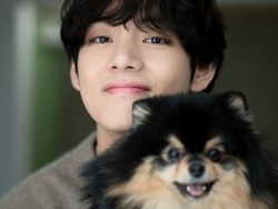 7 Foto Kenangan V BTS dan Anjingnya Yeontan yang Mati, ARMY Ikut Nyesek