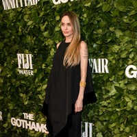 Keenam anak Jolie dan tempat kelahirannya adalah: Maddox diadopsi dari Kamboja, Pax berasal dari Vietnam, Zahara lahir di Etiopia, Shiloh lahir di Namibia, dan si kembar Vivienne dan Knox lahir di Nice, Prancis. Foto: Variety via Getty Images/Kristina Bumphrey