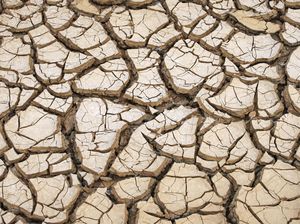 Ngeri! El Nino 2026 Diprediksi Jadi yang Terkuat dalam Sejarah