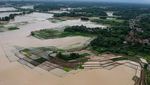 25 Hektare Lahan Persawahan di Kabupaten Serang Terendam Banjir