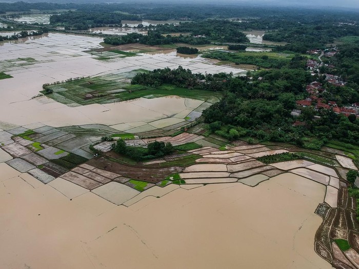 Foto udara lahan persawahan yang terendam banjir di Desa Panosogan, Cikeusal, Kabupaten Serang, Banten, Rabu (4/12/2024). Sebanyak 25 hektare lahan persawahan di desa tersebut terendam banjir dari luapan Sungai Ciujung yang diakibatkan tingginya intensitas hujan. ANTARA FOTO/Putra M. Akbar/gp/aww.