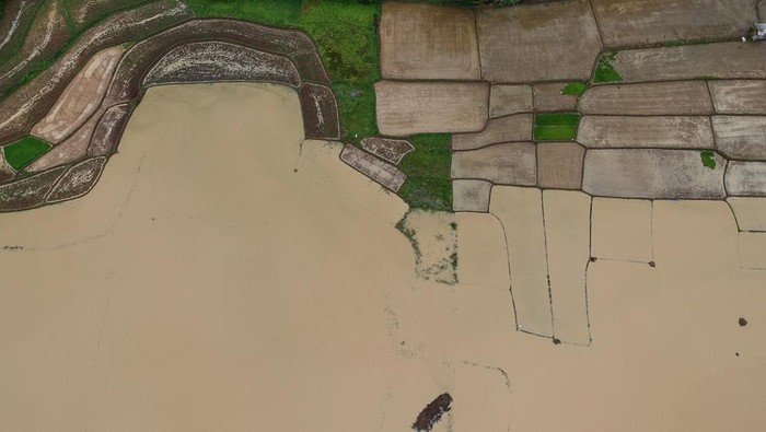 Foto udara lahan persawahan yang terendam banjir di Desa Panosogan, Cikeusal, Kabupaten Serang, Banten, Rabu (4/12/2024). Sebanyak 25 hektare lahan persawahan di desa tersebut terendam banjir dari luapan Sungai Ciujung yang diakibatkan tingginya intensitas hujan. ANTARA FOTO/Putra M. Akbar/gp/aww.