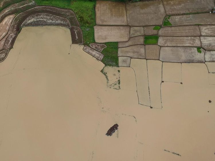 25 Hektare Lahan Persawahan di Kabupaten Serang Terendam Banjir