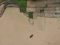 25 Hektare Lahan Persawahan di Kabupaten Serang Terendam Banjir