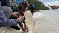 Di tempat ini, pengunjung dapat belajar secara langsung mengenai habitat alami, fisik penyu, pola hidup, proses penetasan, hingga berbagai upaya konservasi yang penting bagi kelangsungan hidup penyu sisik.  
