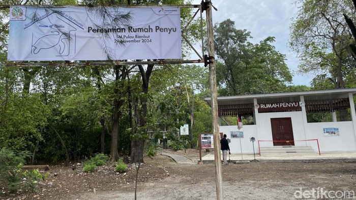 Rumah Penyu diresmikan di Suaka Margasatwa Kepulauan Rambut, Kepulauan Seribu, DKI Jakarta. Di sini kita bisa belajar tentang pelestarian penyu sisik.