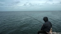 Warga mencari ikan di Kawasan Muara Baru, Jakarta Utara, Rabu (4/12/2024).  