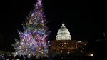 Pohon Natal Capitol dari Alaska Menerangi Washington DC