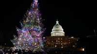 Washington D.C. merasakan suasana Natal pada hari Selasa (3/12) dengan menyalakan pohon dari Alaska. Ketua DPR AS Mike Johnson, bersama dengan anggota DPR dan Senat, berkumpul untuk acara tahunan yang meriah untuk menyalakan Pohon Natal Capitol AS 2024.