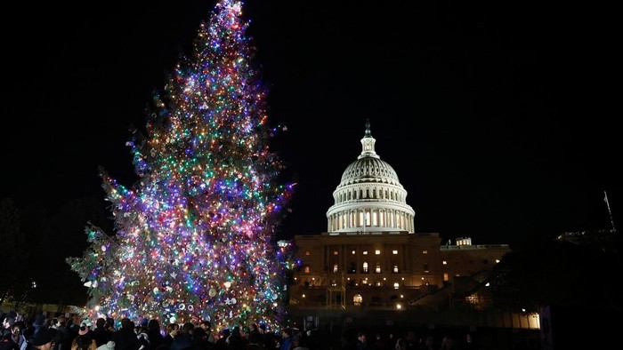 The U.S. Capitol Christmas tree, an 80-foot Sitka spruce from the Tongass National Forest in Alaska, stands during the Capitol Christmas Tree lighting in Washington, U.S., December 3, 2024. REUTERS/Benoit Tessier