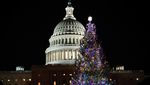 Pohon Natal Capitol dari Alaska Menerangi Washington DC