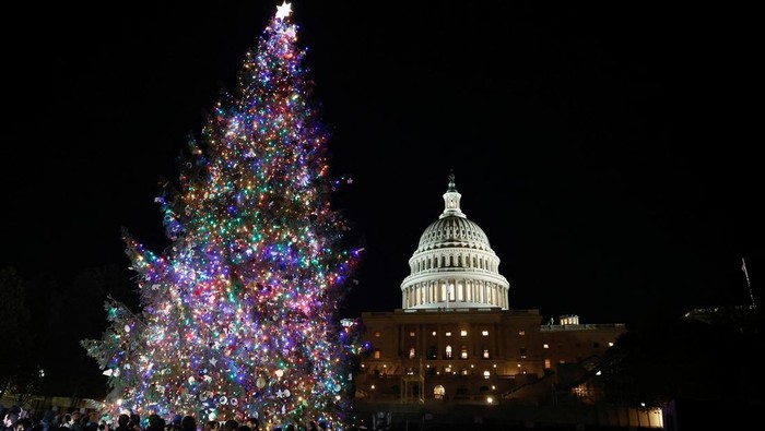 The U.S. Capitol Christmas tree, an 80-foot Sitka spruce from the Tongass National Forest in Alaska, stands during the Capitol Christmas Tree lighting in Washington, U.S., December 3, 2024. REUTERS/Benoit Tessier