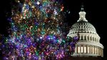 Pohon Natal Raksasa Mulai Hiasi Gedung Capitol AS