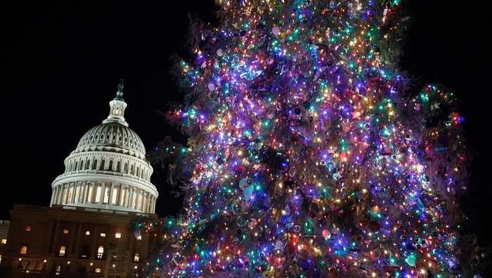 The U.S. Capitol Christmas tree, an 80-foot Sitka spruce from the Tongass National Forest in Alaska, stands during the Capitol Christmas Tree lighting in Washington, U.S., December 3, 2024. REUTERS/Benoit Tessier