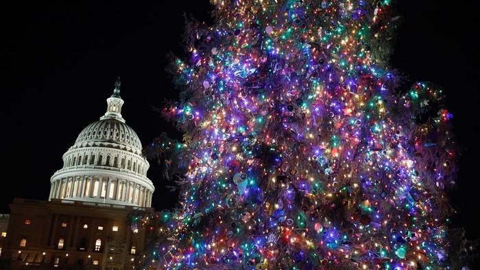 Pohon Natal Raksasa Mulai Hiasi Gedung Capitol AS The U.S. Capitol Christmas tree, an 80-foot Sitka spruce from the Tongass National Forest in Alaska, stands during the Capitol Christmas Tree lighting in Washington, U.S., December 3, 2024. REUTERS/Benoit Tessier