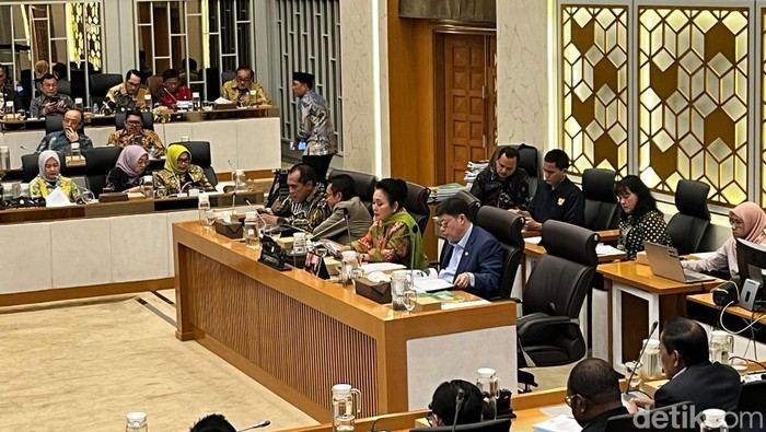 Rapat Kerja Komisi IV DPR RI dengan Kementerian Pertanian, Rabu (4/12/2024).