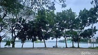 Di Situ Cipule, traveler juga bisa menyaksikan latihan dayung setiap hari Sabtu-Minggu. Jangan khawatir kelaparan karena di kawasan sekitar Situ Cipule ada warung-warung milik warga lokal yang menjual makanan ringan dan minuman. (Asti Azhari/detikTravel)