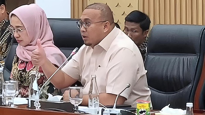 Wakil Ketua Komisi VI DPR Andre Rosiade