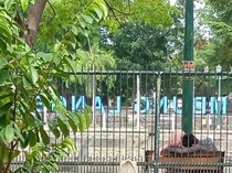 Embung Langensari Jogja Jadi Tempat Mesum Pasangan Sejak Siang Bolong
