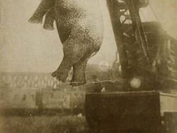 Foto Jadul Punya Cerita Aneh hingga Menyeramkan