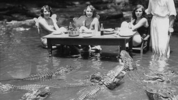 Piknik di Peternakan Alligator California di Los Angeles, di mana para pelanggan diizinkan untuk berbaur dengan bebas di antara buaya terlatih dari tahun 1907 hingga 1953. Foto: Allthatinteresting