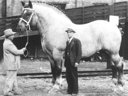 Foto Jadul Punya Cerita Aneh hingga Menyeramkan