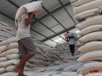 Harga Gabah Naik, Beras Tambah Mahal?