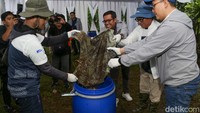 Bahan yang bisa diolah yakni berasal dari sabut kelapa, batang pohon pisang, daun-daunan, tanah permukaan bambu, tetes tebu, dan pupuk kandang. 