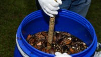Seluruh bahan-bahan tersebut dicampurkan di dalam wadah tertutup, lalu diamkan sekitar 3 bulan. 