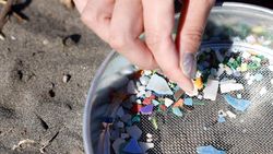 Kreatif! Seniman Jepang Sulap Sampah Plastik Jadi Bahan Penghias Kuku Kreatif! Seniman Jepang Sulap Sampah Plastik Jadi Bahan Penghias Kuku