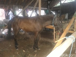 Horor Bendi Malam-malam Melaju Tanpa Kusir di Boyolali Terungkap, Ternyata...